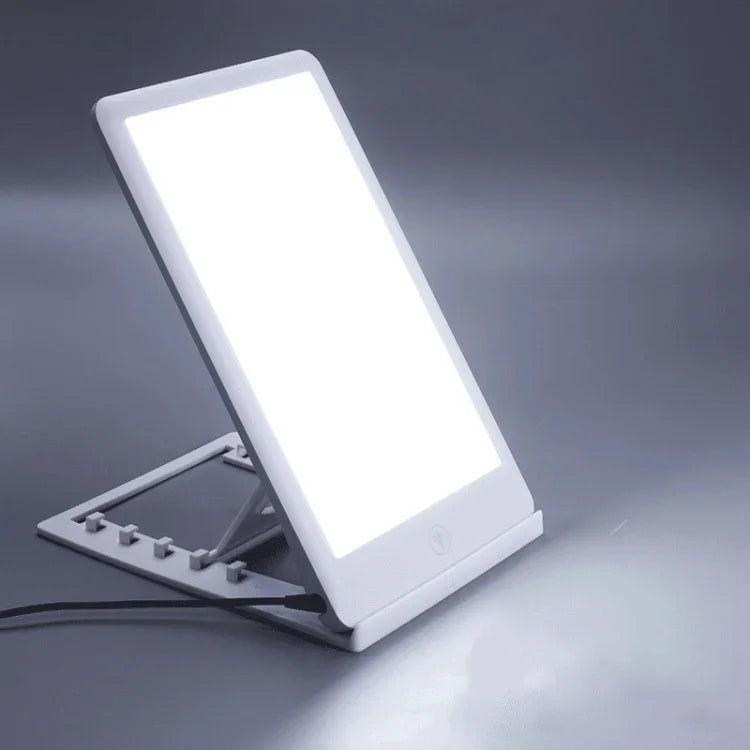 Lampe de luminothérapie Bionic Sunlight SAD Touch 11000 Lux, lumière naturelle du soleil