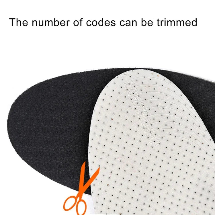 Texte alternatif de l'image