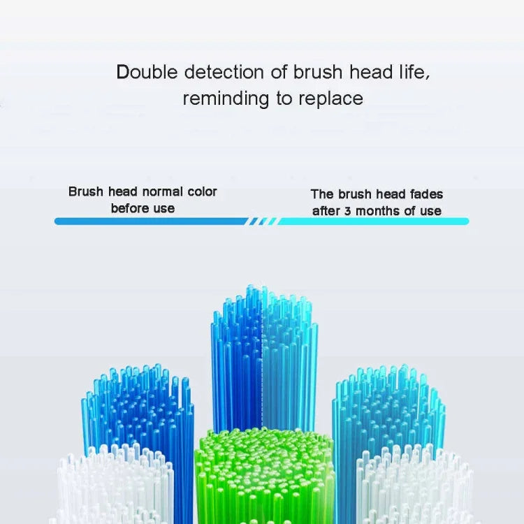 HUAWEI Lebooo LBS-T053A 2 têtes de brosse à dents intelligentes (pour HCB0001), tête de brosse LBS-T053A (Noir), tête de brosse LBS-T053A (Blanc)