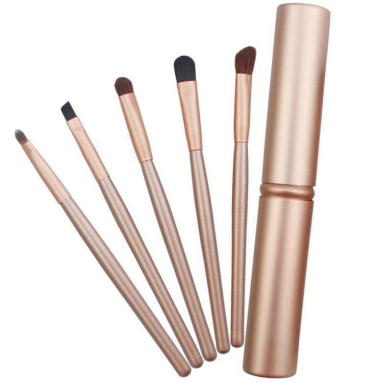 Lot de 5 pinceaux de maquillage pour les yeux avec manche et tube en aluminium