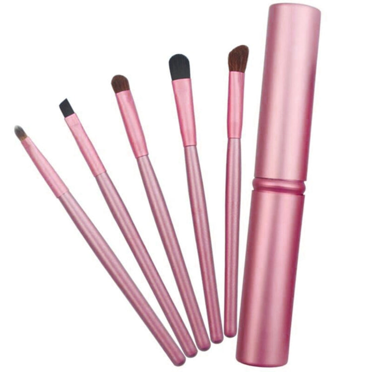 Lot de 5 pinceaux de maquillage pour les yeux avec manche et tube en aluminium