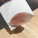 Lot de 10 pinces à cheveux en forme de feuille dégradée pour filles