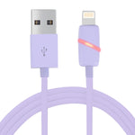 Câble de synchronisation de données USB 8 broches vers USB de 1 m, style boîte-cadeau circulaire à bobine, avec indicateur pour iPhone, iPad
