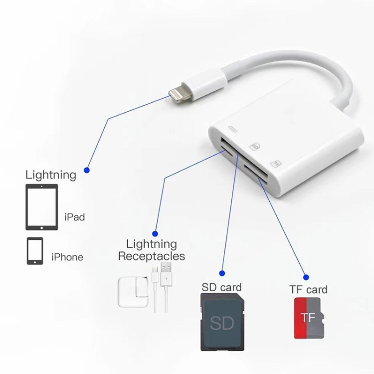 Adaptateur lecteur de caméra NK-101Y Pro 8 broches vers 8 broches + ports SD + TF 3-en-1