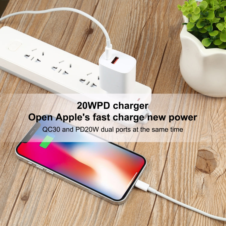 Câble de données de charge rapide USB-C / Type-C 100 W vers 8 broches, longueur : 2 m, Type-C vers 8 broches 2 m