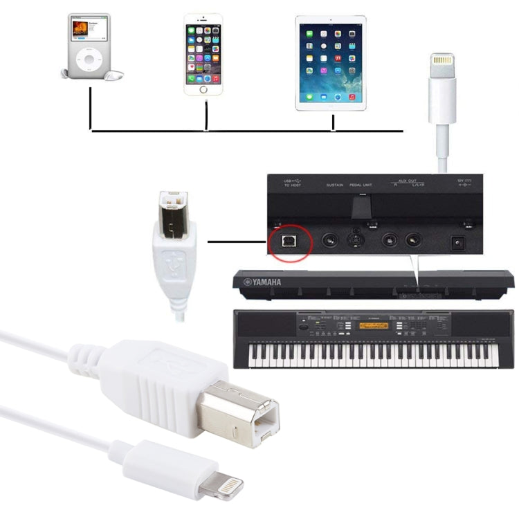 Câble MIDI adaptateur 8 broches vers Type-B mâle pour piano/piano électronique, 1 m