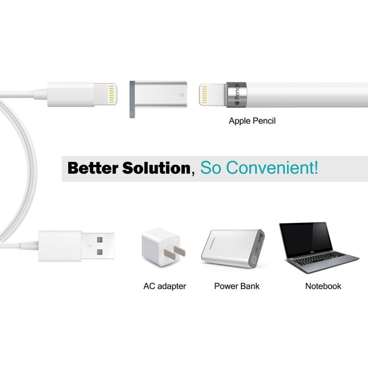 Adaptateur de chargeur de crayon Apple en aluminium pour iPad Pro