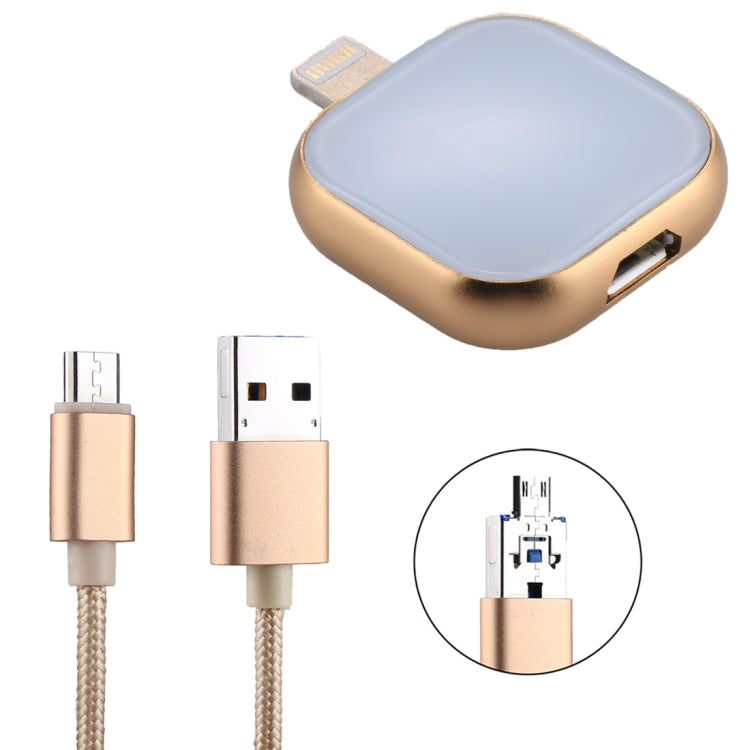 Clé USB multifonction RQW-18S 8 broches 16 Go avec câble USB/Micro USB vers Micro USB, RQW-18S Noir, RQW-18S Or