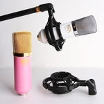 pour enregistrement en studio, diffusion en direct, spectacle en direct, KTV, etc., support anti-choc
