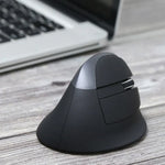 DELUX M618 Mini Souris Verticale Ergonomique sans Fil 2.4G 2400DPI USB Rechargeable, M618 Gris