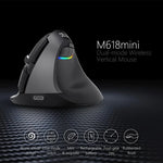 DELUX M618 Mini Souris Verticale Ergonomique sans Fil 2.4G 2400DPI USB Rechargeable, M618 Gris