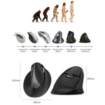 DELUX M618 Mini Souris Verticale Ergonomique sans Fil 2.4G 2400DPI USB Rechargeable, M618 Gris