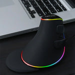 DELUX M618 Plus RGB Souris Optique Filaire Ergonomique Verticale 4000DPI, Filaire 4000DPI