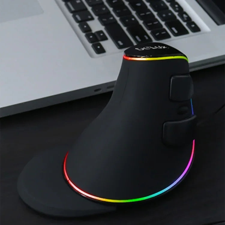DELUX M618 Plus RGB Souris Optique Filaire Ergonomique Verticale 4000DPI, Filaire 4000DPI