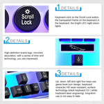 Chasing Leopard G21 Clavier filaire étanche avec 104 touches USB, capuchons de touches ronds flottants, style punk, rétroéclairage coloré, sensation mécanique, longueur : 1,3 m