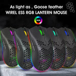 HXSJ T66 Souris Gamer sans fil programmable 7 touches avec rétroéclairage coloré, T66 (blanc)