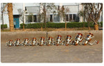 Moulinet de pêche YUMOSHI à roulements à billes, poignée à bascule, bobine rotative, EF1000, EF2000, EF3000, EF4000, EF5000, EF6000, EF7000, EF8000