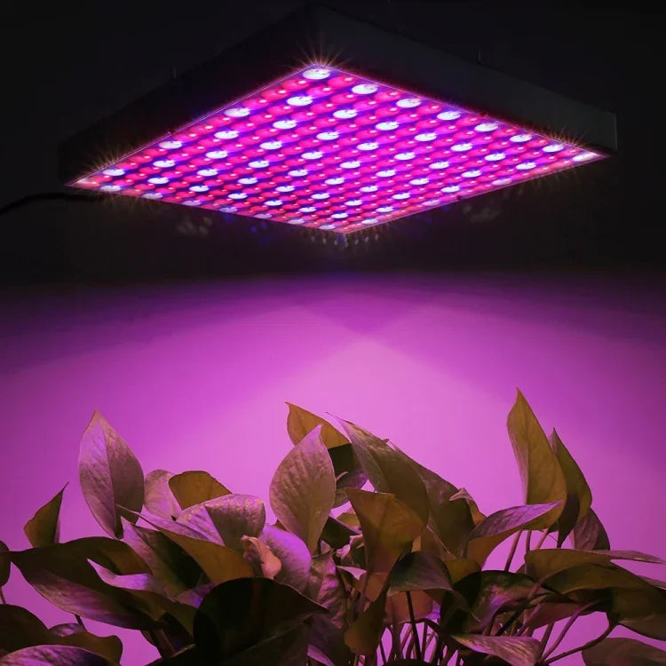 225 LED Lumière pour serre Lumière pour aquarium, AC 85-265V, 45W/SMD 2835
