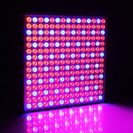 225 LED Lumière pour serre Lumière pour aquarium, AC 85-265V, 45W/SMD 2835