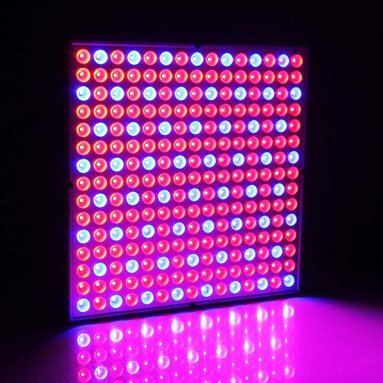 225 LED Lumière pour serre Lumière pour aquarium, AC 85-265V, 45W/SMD 2835
