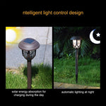 Lampe Solaire Extérieure de Pelouse, Étanche IP65, LED Décorative de Jardin