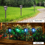 Lampe Solaire Extérieure de Pelouse, Étanche IP65, LED Décorative de Jardin