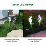 Fleur de lys artificielle 4 têtes, lampe solaire de pelouse décorative LED étanche IP55 pour extérieur, lumière blanche, lumière blanche