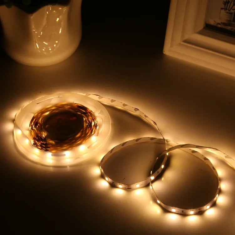 2 pcs Ruban LED RGB 5050 SMD nu, 30 LED/m, Longueur : 5m, 12V 2A 100-240V, avec contrôleur Doodle 24 touches, LED RGB 5050 SMD, 5m x 2