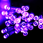 Guirlande lumineuse réticulaire 200 LED avec joint d'extrémité & contrôleur multifonction, blanc chaud prise EU, lumière bleue prise EU, lumière colorée prise EU, lumière violette prise EU, lumière blanche prise EU