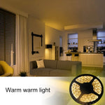 300 LED SMD 5050 Lumière colorée Télécommande APP Compatible Alexa & Google Home