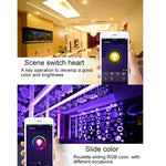300 LED SMD 5050 Lumière colorée Télécommande APP Compatible Alexa & Google Home