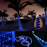Panneau solaire résistant à l'eau 50 LED, 5m 50 LED Lumière bleue, 5m 50 LED Lumière blanche, 5m 50 LED Blanc chaud