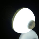 Ampoule LED E27 5W 12 LED SMD 5730 300LM avec détecteur de mouvement infrarouge, distance de détection : 4-6m, AC 220V, lumière blanche E27 5W, blanc chaud E27 5W