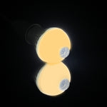 Ampoule LED E27 5W 12 LED SMD 5730 300LM avec détecteur de mouvement infrarouge, distance de détection : 4-6m, AC 220V, lumière blanche E27 5W, blanc chaud E27 5W