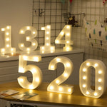 Lumière de Fête Suspendue et Debout Blanc Chaud Alimentée par Piles, LED6214A, LED6214B, LED6214C, LED6214D, LED6214E, LED6214F, LED6214G, LED6214H, LED6214J, LED6214K