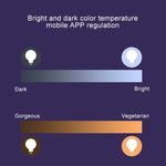 14 LED 3000K+RGB 1050 LM Compatible Alexa & Google Home, CA 230V