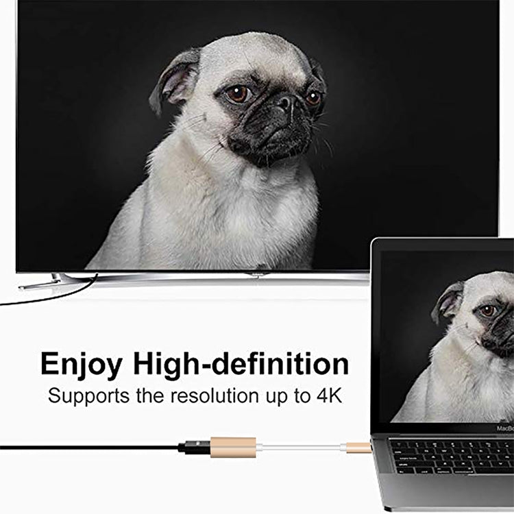 Convertisseur HD USB-C / Type-C 3.1 mâle vers Mini DP femelle, longueur : 12 cm, argent, or