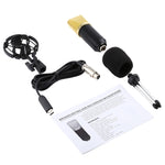 Microphone à condensateur professionnel USB BM-700