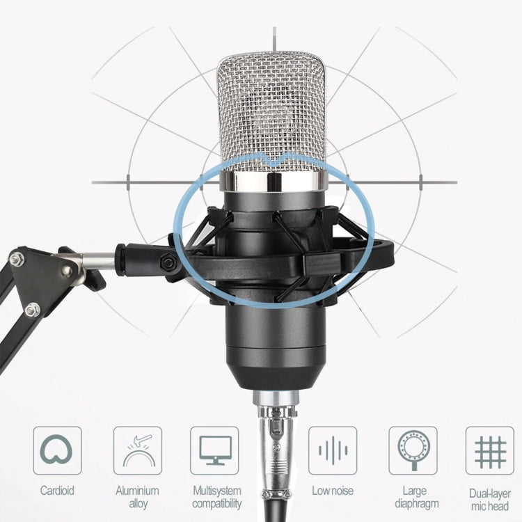 Microphone à condensateur professionnel USB BM-700