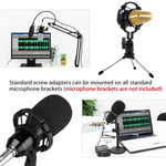 Microphone à condensateur professionnel USB BM-700
