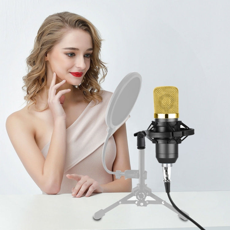 Microphone à condensateur professionnel USB BM-700