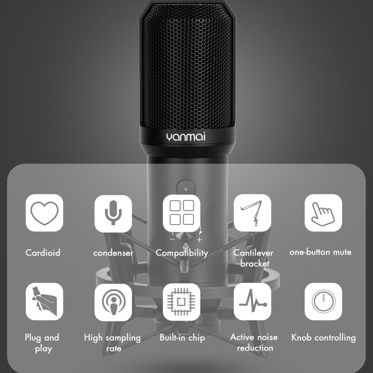 Kit microphone d'enregistrement USB Yanmai Q10B, Q10B