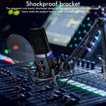 Kit microphone d'enregistrement USB Yanmai X3, X3