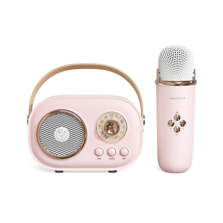 Haut-parleur karaoké multifonction Bluetooth C20 Plus avec microphone