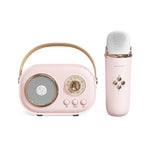 Haut-parleur karaoké multifonction Bluetooth C20 Plus avec microphone
