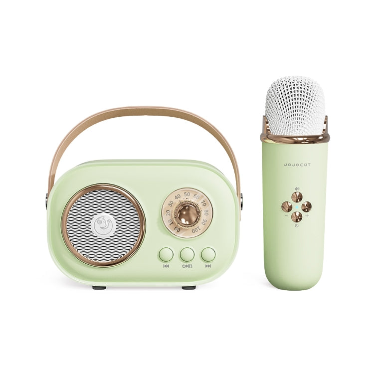 Haut-parleur karaoké multifonction Bluetooth C20 Plus avec microphone