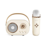 Haut-parleur karaoké multifonction Bluetooth C20 Plus avec microphone