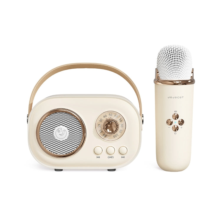 Haut-parleur karaoké multifonction Bluetooth C20 Plus avec microphone