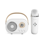 Haut-parleur karaoké multifonction Bluetooth C20 Plus avec microphone