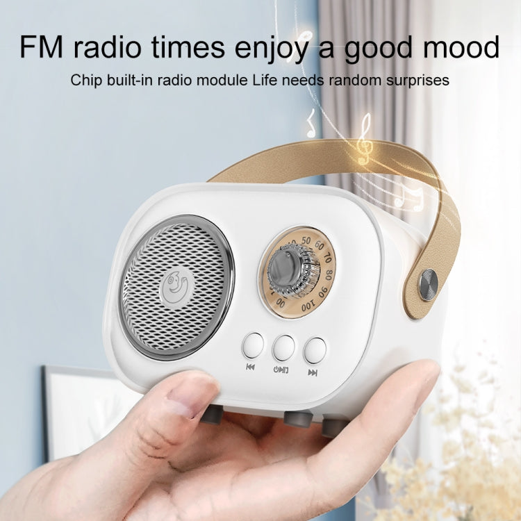 Haut-parleur karaoké multifonction Bluetooth C20 Plus avec microphone